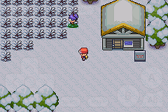 pokemon cloud white 2 screenshot 8