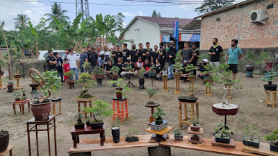 Jemur Bonsai Ajang Silaturahmi Dan Berbagi Ilmu