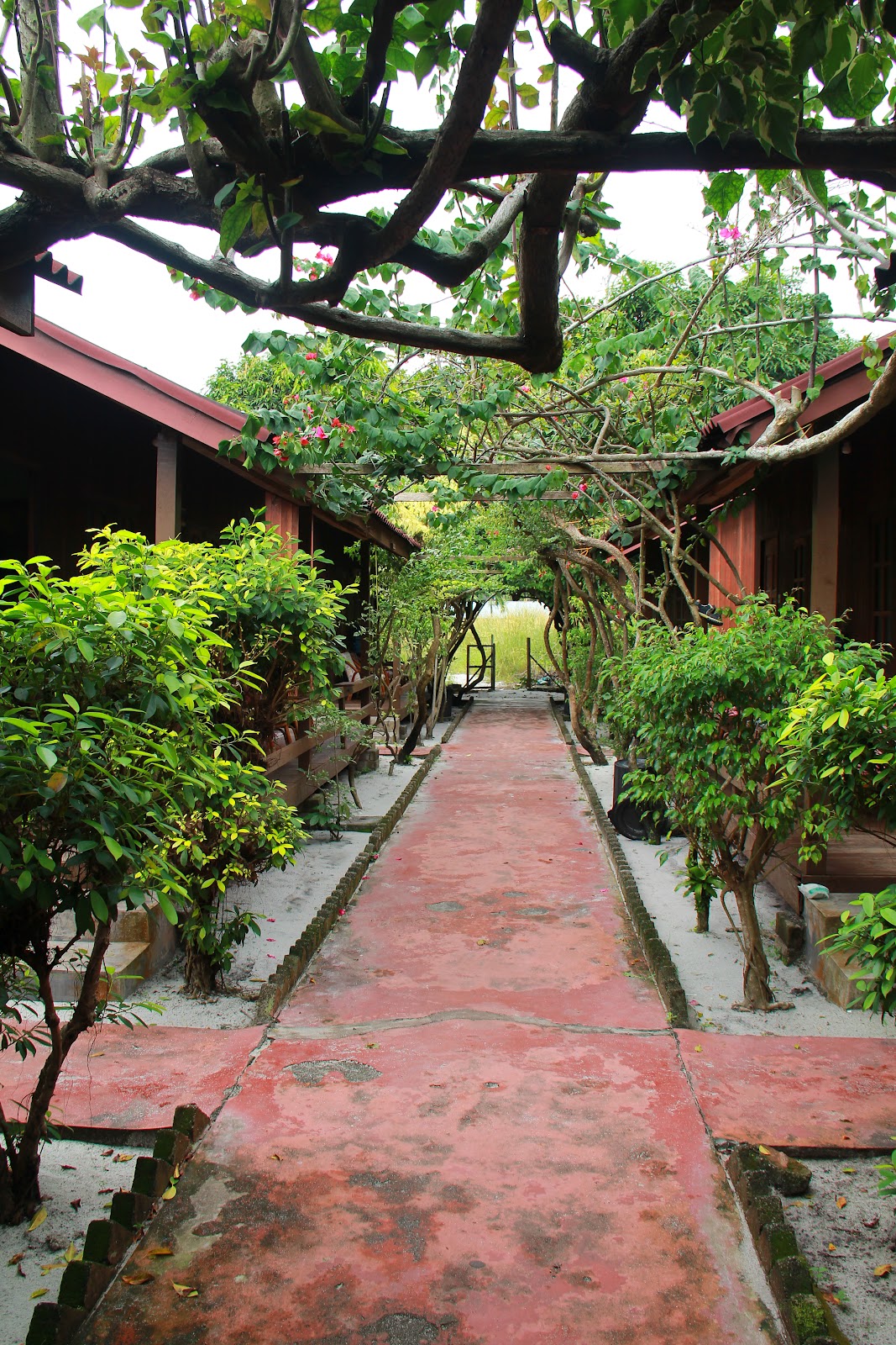 Ronda Pulau Pangkor | Guru dan Pelancong