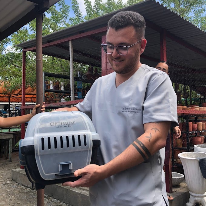 Centro de Zoonoses de Campina Grande começa captura de animais de rua para realizar castração