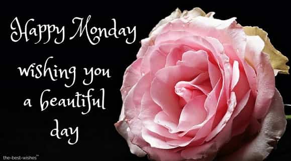 good morning happy monday flowers images