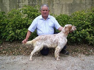 ARGI DE MENDI AÑEZKAR