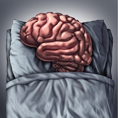ID: a human brain resting in a made bed.
