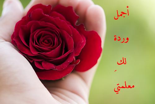 رسالة عيد المراة لمعلمتي