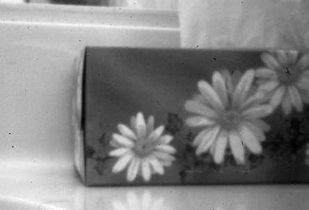 pinholepicedna2