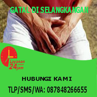 obat gatal pada selangkangan dan bokong secara alami