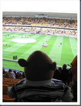 Monkey at Wolves Match