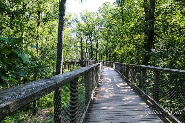 Weg Baumwipfelpfad Saarschleife