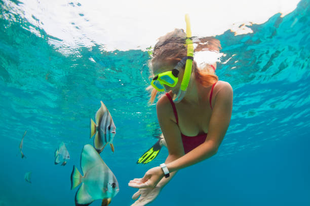 Explore Diverse Marine Life Via Snorkeling in Andaman