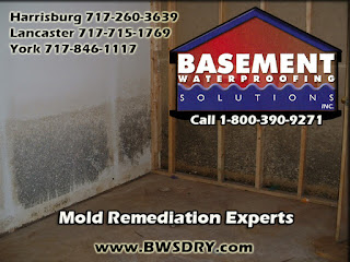 Mold Remediation, Harrisburg PA, Lancaster PA, York PA, Basement Moisture, Basement Mold, Moldy Basement,