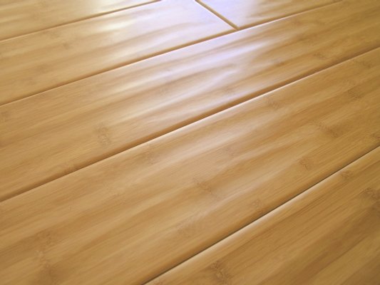 Bamboo Flooring4