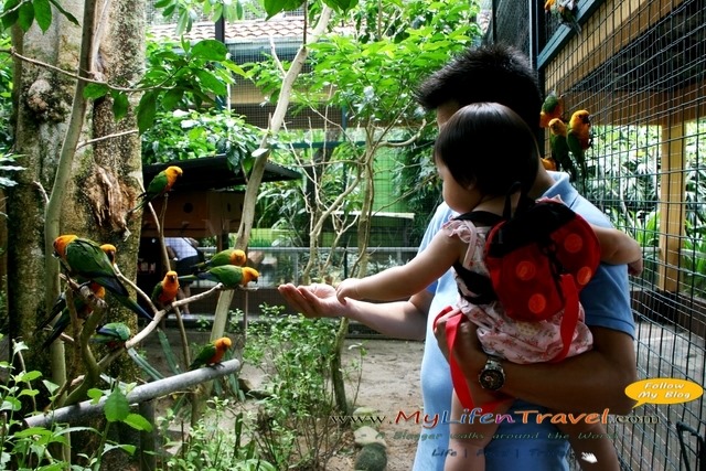 Langkawi Wildlife Park