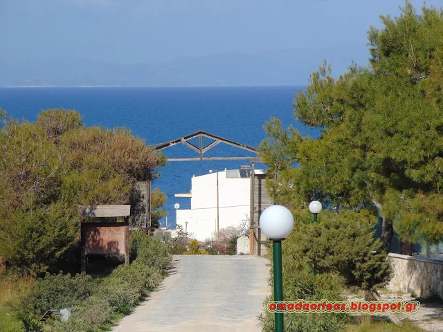 ΛΟΦΟΣ ΟΧΥΡΟΥ, ΟΧΥΡΟ ΡΑΦΗΝΑΣ