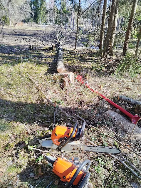 #Tampereen #pihatyöt #puunkaatopalvelut #Pihapuiden kaadot #Tampere #Ylöjärvi #Tampereen #Ylöjärven #pihatyöt käteisellä edetään kohteissa Talonmiespalvelu@gmail.com kuva13