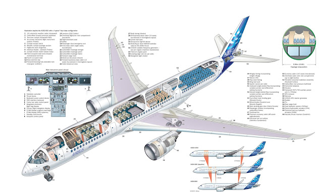 Airbus A350 Series Cutaway Drawing