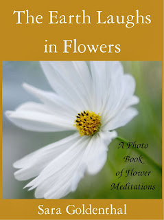 http://www.amazon.com/Earth-Laughs-Flowers-flower-meditations-ebook/dp/B00H1UI5TA/ref=la_B00BCUD1ZS_1_2?s=books&ie=UTF8&qid=1386461999&sr=1-2