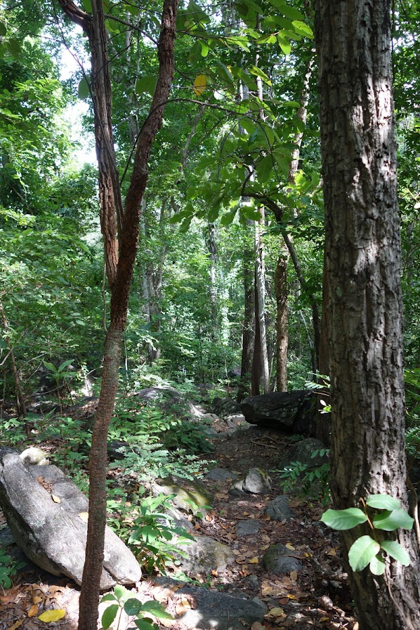 ob luang national park, obluang national park, obluang, op luang national park, opluang national park, opluang, ob luang, op luang