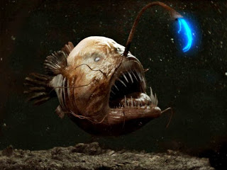 Angler fish