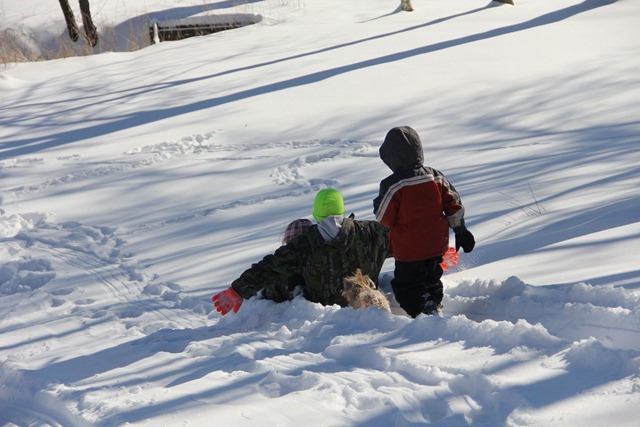 Sledding2012-005