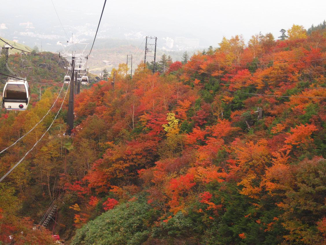 At 旅兒鳥 9 10月 日本居然有如此美景 纜車上的紅葉與湯釜絕景 草津白根山的楓葉季 群馬
