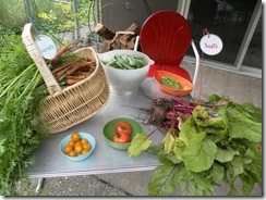 first harvest 01