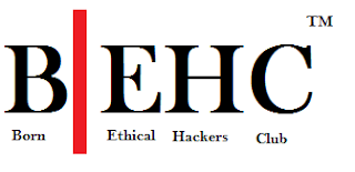 Born Ethical hackers