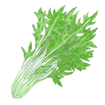 ３月に植えるおすすめの野菜 植物と暮らす