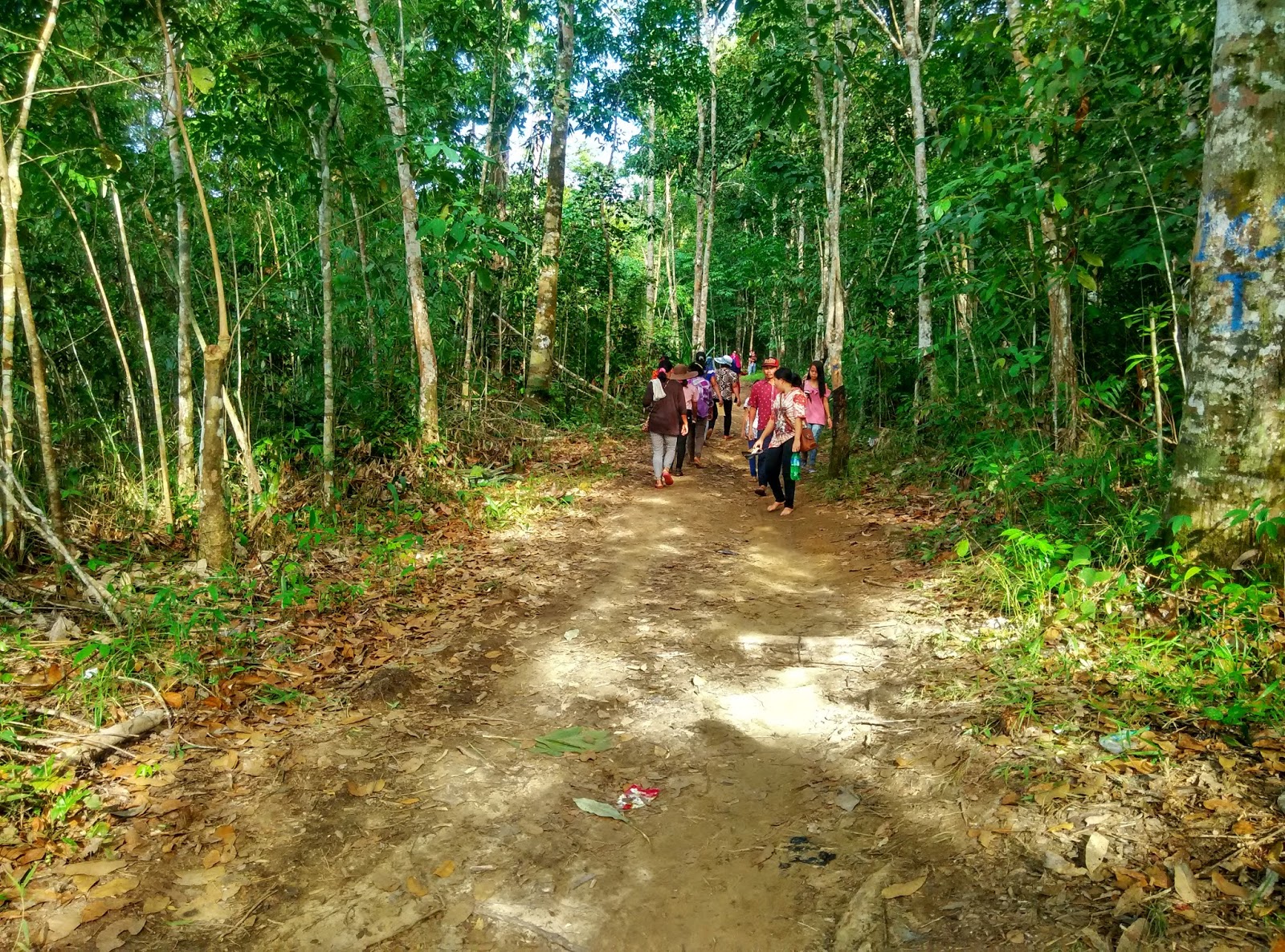 Kalimatan Barat Punya Wisata Air Terjun Siling Kalimantan Barat