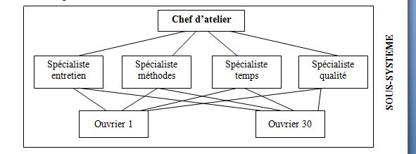 Organigramme de structure fonctionnelle