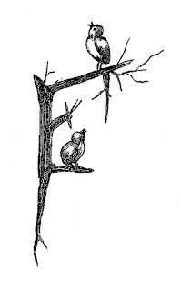 bird branch artwork pencil drawing digital download