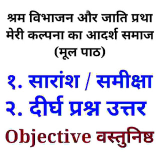 श्रम विभाजन और जाति प्रथा, मेरी कल्पना का आदर्श समाज (मूल पाठ) सारांश, प्रश्न उत्तर