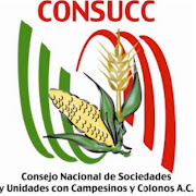 . anunció la renovación de su comité estatal en el estado de México con el . (cosucc)