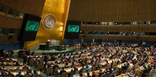 Asamblea General de la Organizacion de las Naciones Unidas