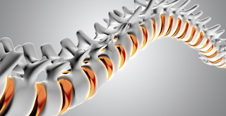 At Chiropractic Orthopedic Group you will find an unparalleled combination of the most innovative treatment techniques.  By combining exercise therapy, spinal manipulation,  and physiotherapy modaliteis, Dr. Lewis Meltz provides the most skilled and comprehensive care in the area. 