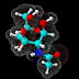 Biological molecules mcqs pdf