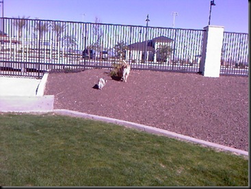Photo-0019