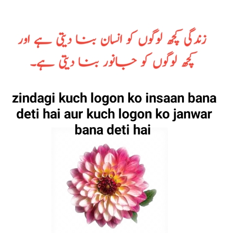 zindagi quotes in urdu