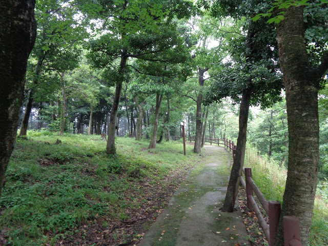 弥生の森　遊歩道