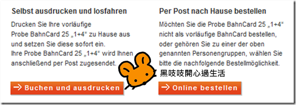 2013 BahnCard 03