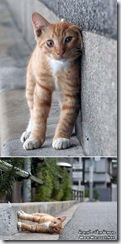 good-photo8