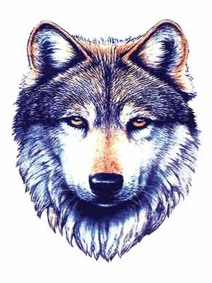 tattoo wolf. hot wolf head tattoo. wolf