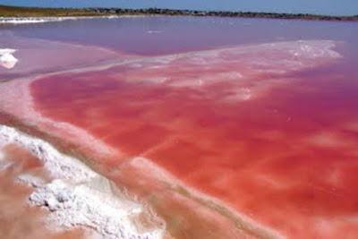 Lima Danau Berwarna Pink Paling Unik di Dunia