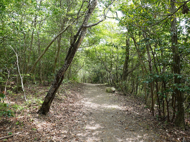 島根県松江市美保関町美保関　ウォーキングコース