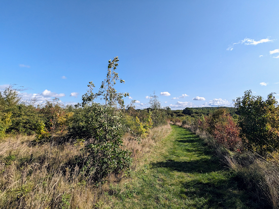 Continue heading E along the grassy track until you reach a gate