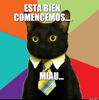 http://www.troll.me/images/business-cat-needs/esta-bien-comencemos-miau.jpg