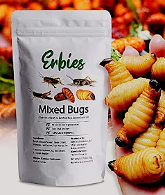 Bag Of Edible Insects