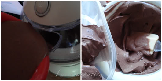 making ice cream in an ice cream maker