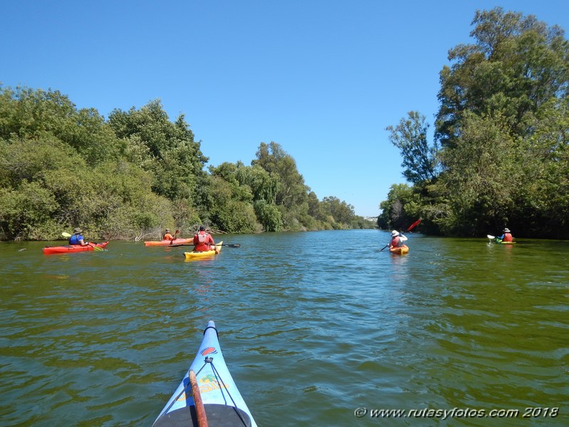 Kayak río Palmones