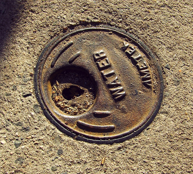 Water Ametek utility cover