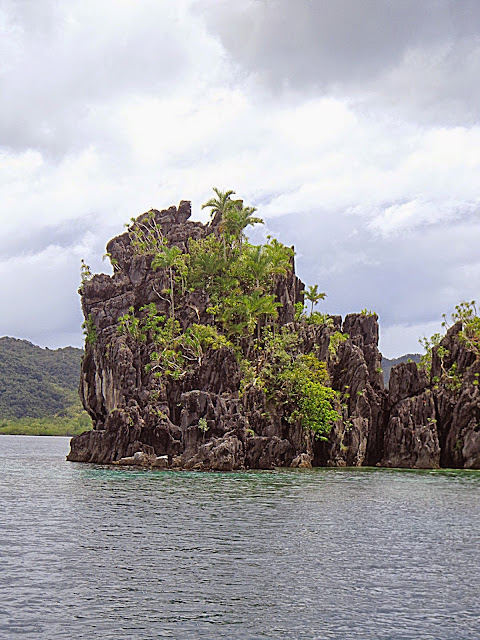 Cadugnon Island, El Nido Palawan